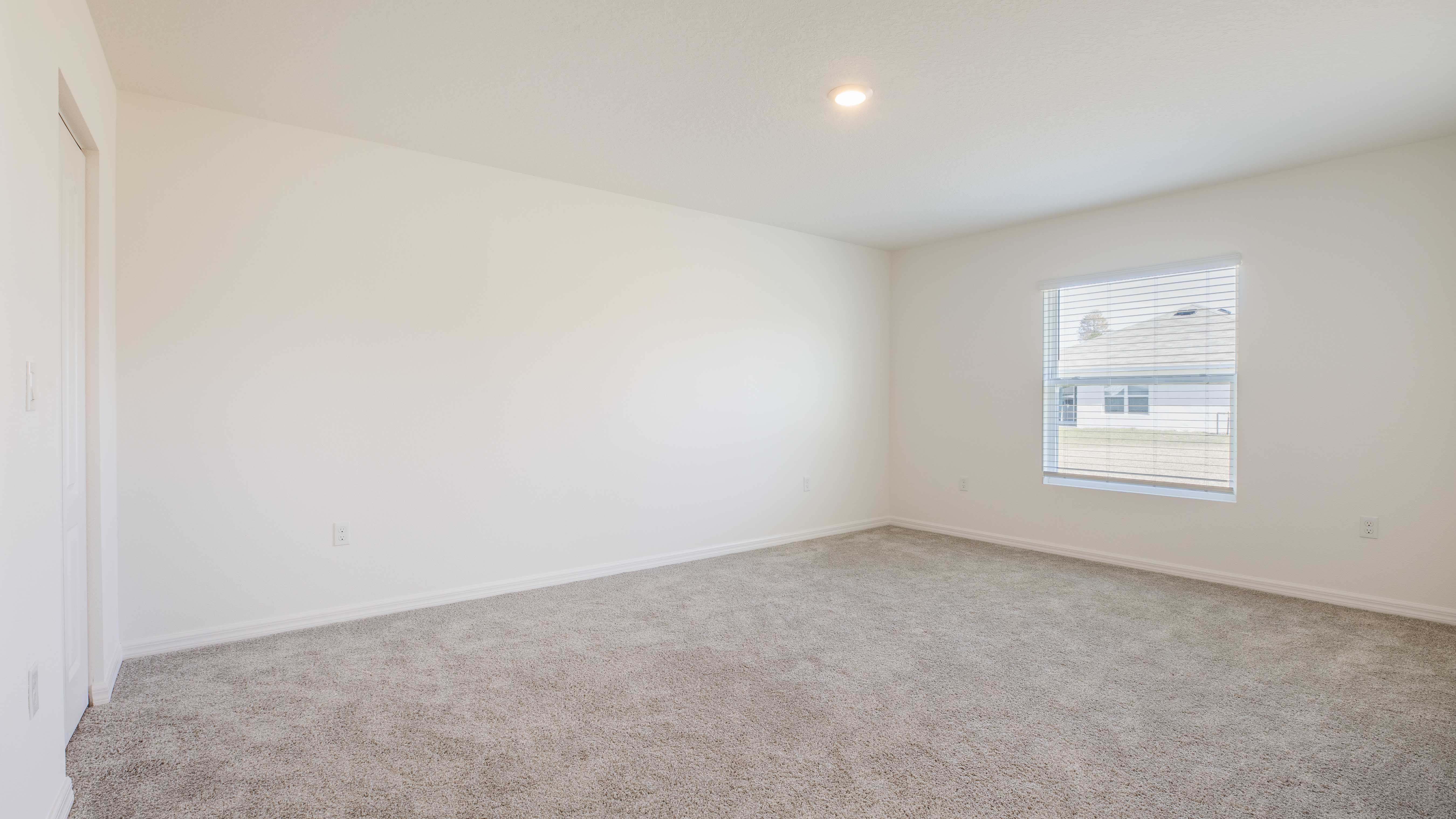 Empty room with plush carpet, white walls, and a window letting in natural light.