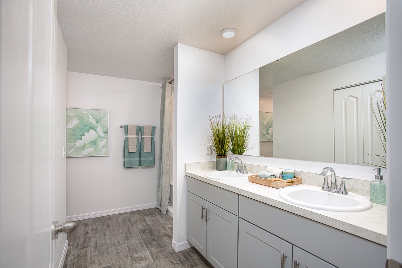 Modern bathroom with dual sinks, white cabinets, decorative plants, and teal accents.