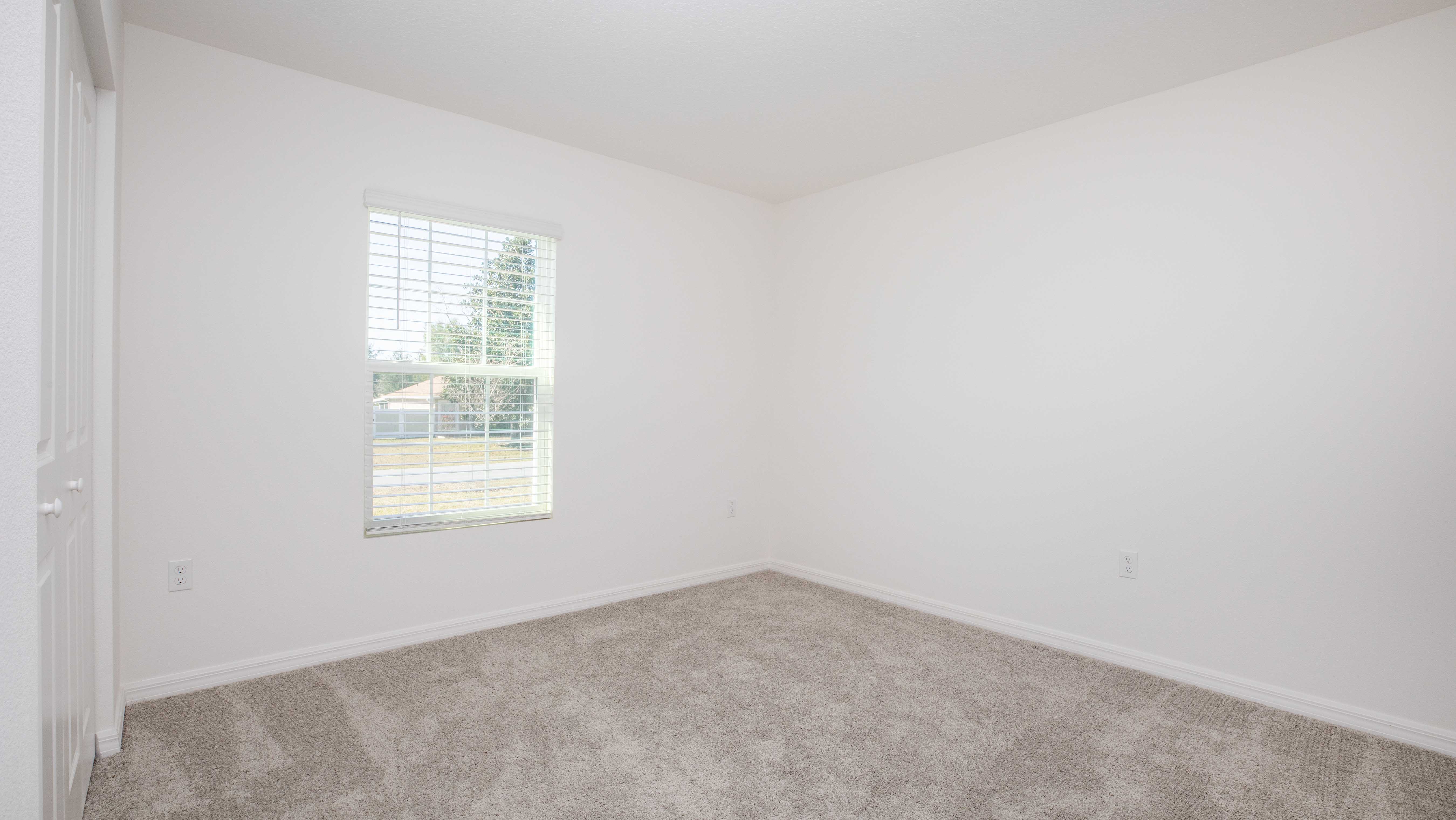 "Bright empty room with light gray carpet and window with blinds, perfect for a cozy bedroom setup."