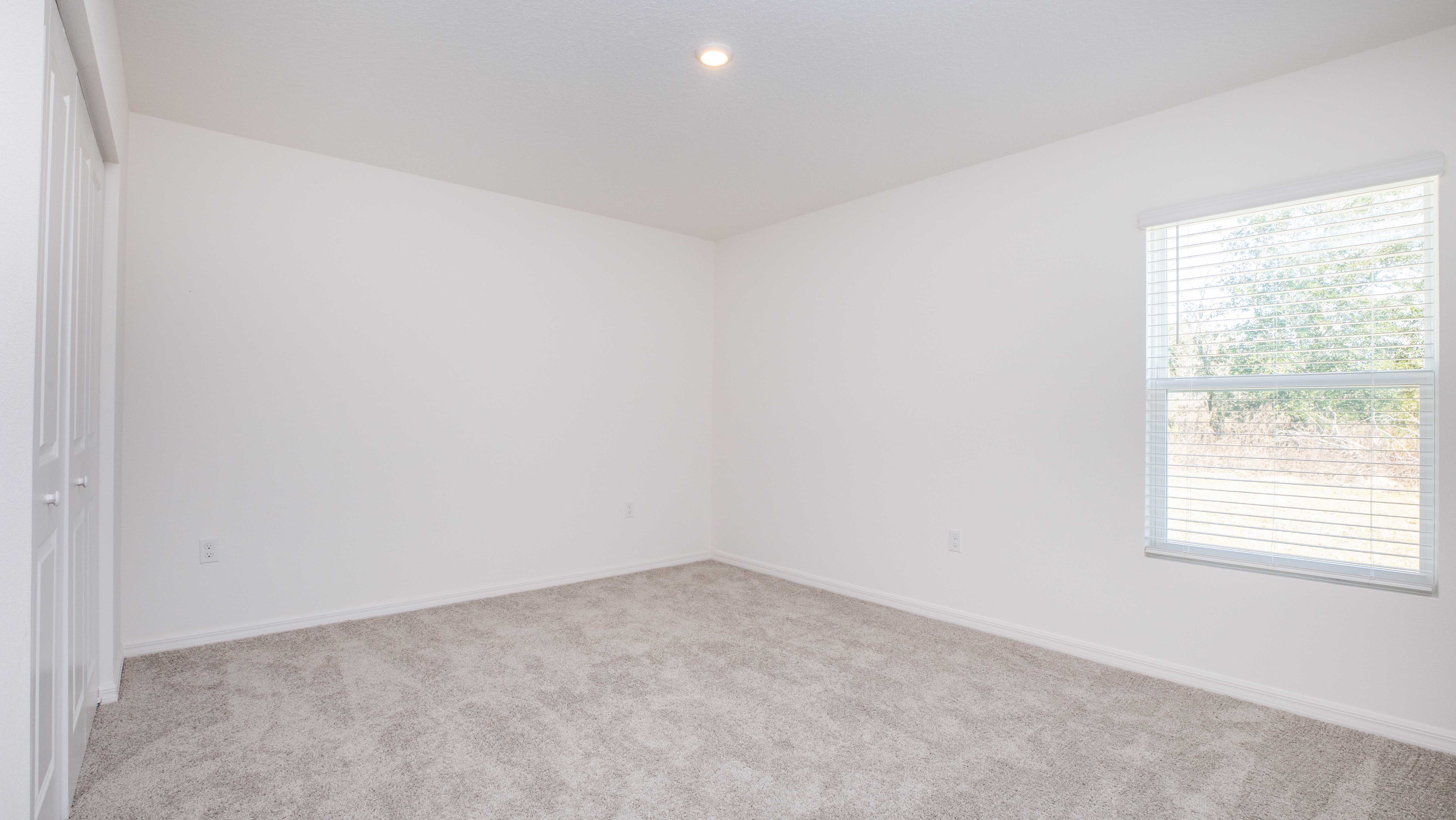 Bright, empty room with beige carpet, white walls, a window with blinds, and a closed closet door.